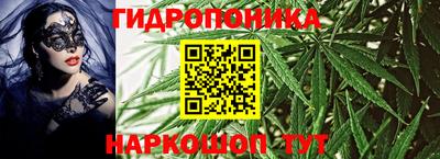 spice Будённовск