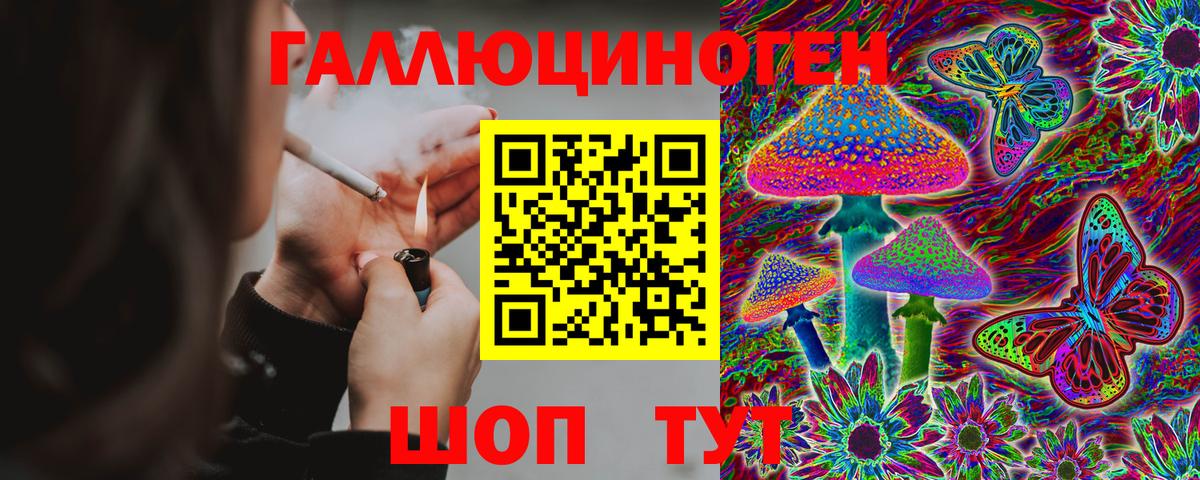 Псилоцибиновые грибы Psilocybine cubensis Петропавловск-Камчатский