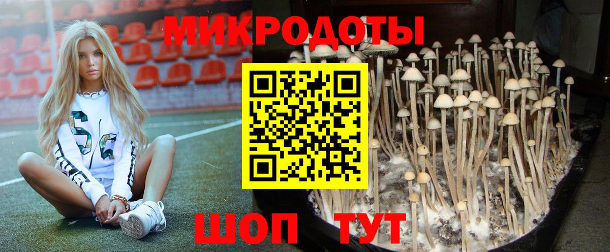 Галлюциногенные грибы Psilocybine cubensis  Вход с VPN  Псилоцибиновые грибы GOLDEN TEACHER  Петропавловск-Камчатский 